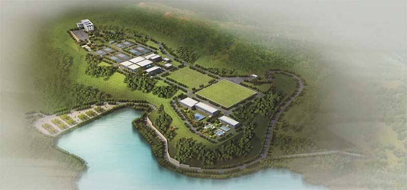 2021525169279214.jpg 2021525169279214.jpg