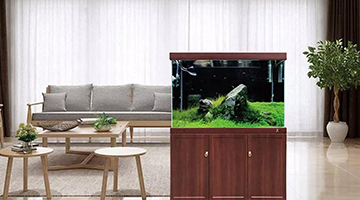 ������ˮ�塿��ˮ���ИI(y��)�I�N�߄���-�ɶ��I�N������ԃ��˾